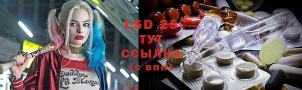 амф Заволжье