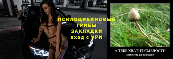 гидра Заволжск