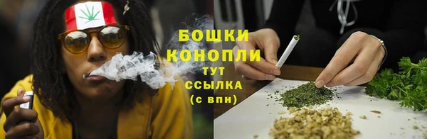 гидра Заволжск