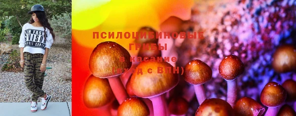 амф Заволжье